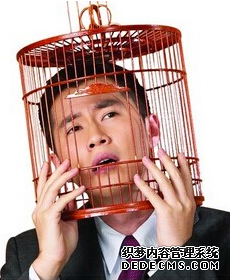 核心论文发表