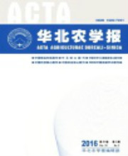 论文发表代理