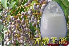 ��չ����ADģ�ʹ�������MAPK/ERKͨ·��ص��ױ����Ӱ������